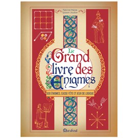 Le grand livre des énigmes, casse-tête et jeux de logique