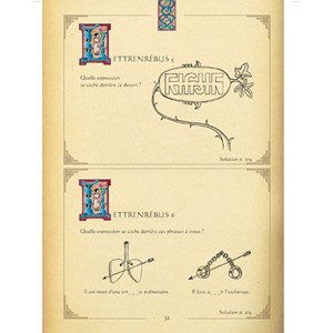 Le grand livre des énigmes, casse-tête et jeux de logique