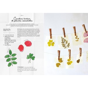 Le Carnet de recettes d'une cueilleuse