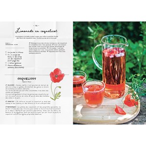Le Carnet de recettes d'une cueilleuse