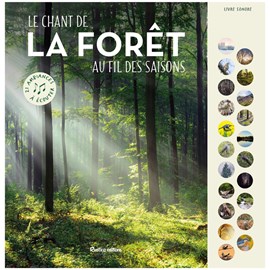 Le chant de la forêt au fil des saisons