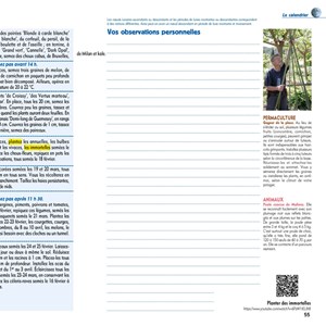 Jardinez avec la Lune 2026