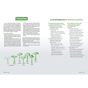 Le grand livre des champignons 2026