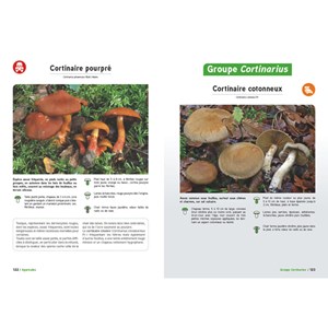 Le grand livre des champignons 2026