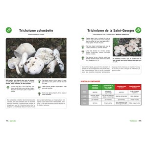 Le grand livre des champignons 2026