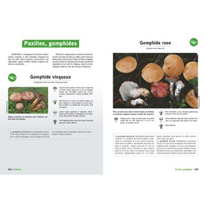 Le grand livre des champignons 2026