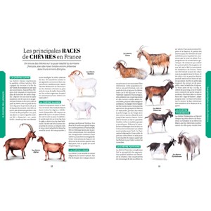 Traité Rustica des usages et savoirs de nos campagnes