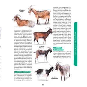Traité Rustica des usages et savoirs de nos campagnes
