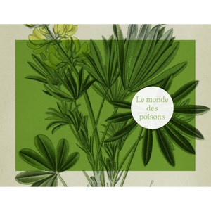 Les plantes toxiques. Une histoire insolite