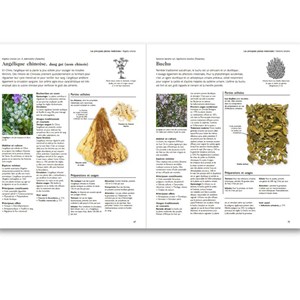 Larousse des plantes médicinales