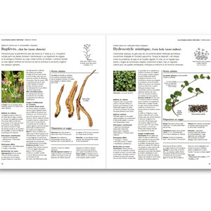 Larousse des plantes médicinales