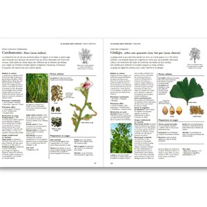 Larousse des plantes médicinales
