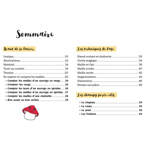 Champy crochet Coffret apprentissage du crochet