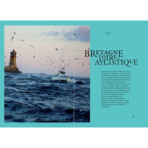 France Un voyage curieux et amoureux Guide Michelin