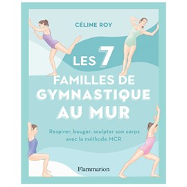 Les 7 familles de gymnastique au mur