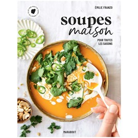 Soupes maison pour toutes les saisons