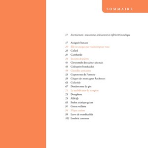 Le pou qui décima l'armée de Napoléon. Et autres histoires d'insectes tueurs