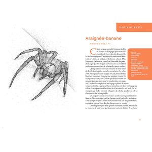 Le pou qui décima l'armée de Napoléon. Et autres histoires d'insectes tueurs