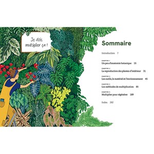 Le guide de la multiplication des plantes d'intérieur