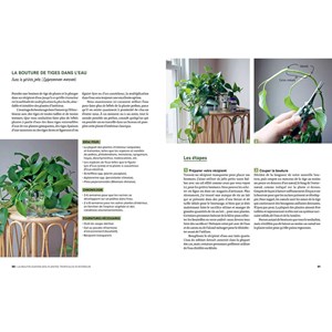 Le guide de la multiplication des plantes d'intérieur