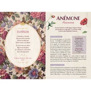 Langage secret des fleurs