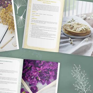 Cueillette & recettes au fil des saisons