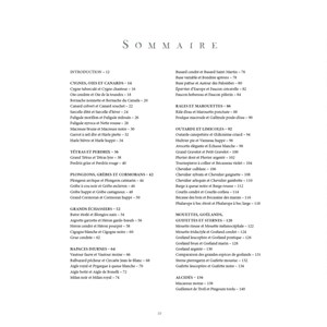 Le grand album des Oiseaux de France