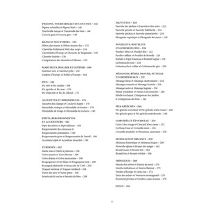 Le grand album des Oiseaux de France