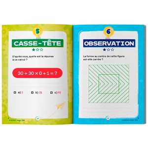250 jeux de logique