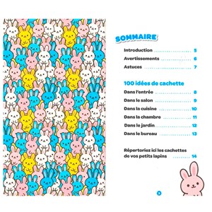 Coffret 100 petits lapins à cacher... et bonne chance pour les retrouver !