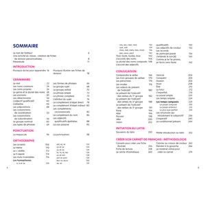 Le Français en 100 fiches illustrées