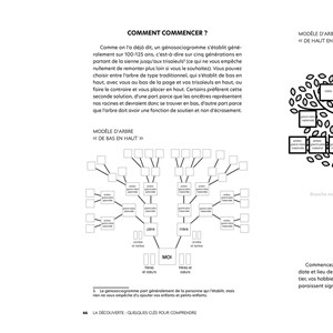 Psychogénéalogie au quotidien