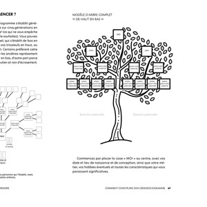 Psychogénéalogie au quotidien