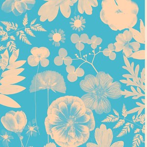 Mon herbier créez votre bibliothèque végétale idéale