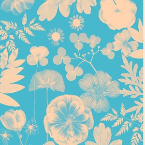 Mon herbier créez votre bibliothèque végétale idéale