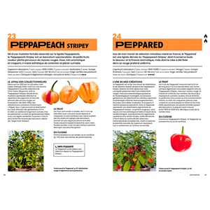 100 piments à cultiver et à déguster : ça va piquer !