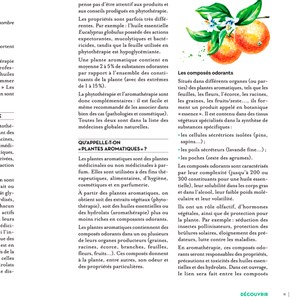 Le grand guide des huiles essentielles