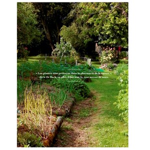 Elles poussent, elles soignent