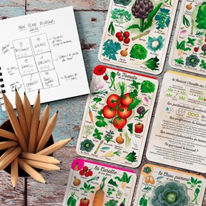 Coffret Le petit potager