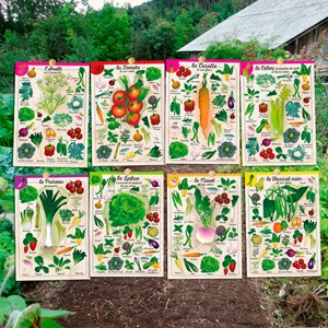 Coffret Le petit potager