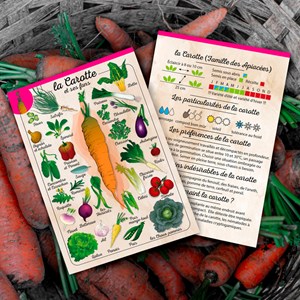 Coffret Le petit potager