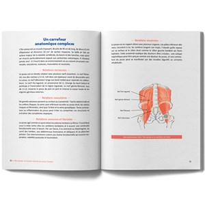 Psoas Réveiller le muscle de l'équilibre physique et émotionnel
