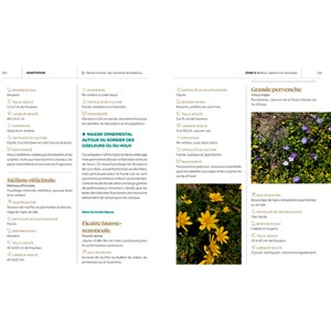 Le guide pour réensauvager les jardins, balcons, terrasses