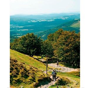 Partir sur les Chemins de Compostelle Camino Francés et Camino de Fisterra