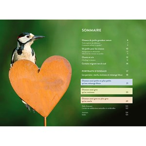Reconnaître facilement les oiseaux du jardin