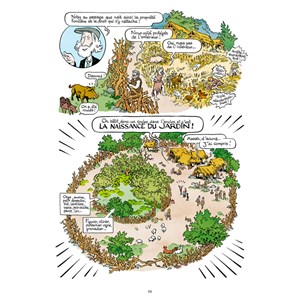La belle histoire des jardins