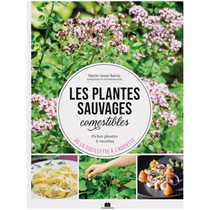 Les plantes sauvages comestibles