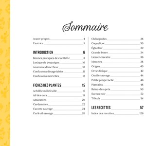 Les plantes sauvages comestibles