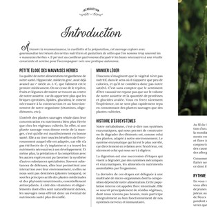 Les plantes sauvages comestibles