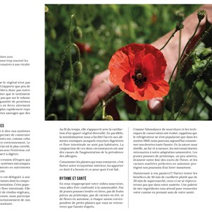 Les plantes sauvages comestibles